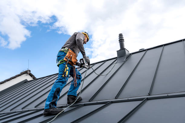 Best Rubber Roofing (EPDM, TPO)  in Grand Rapids, MI